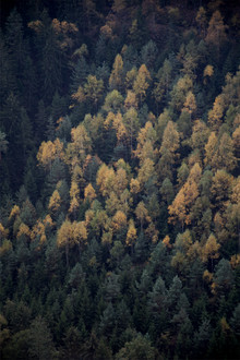 Studio Na.hili, Autumn in all its beauty (Deutschland, Europa)