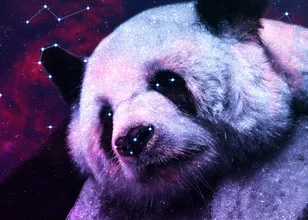 Schlafender Panda in einer bunten Galaxie mit Sternen und Nebel