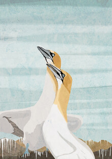 Katherine Blower, Gannets
