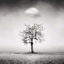 Schwarz-Weiß Fotokunst: Nebel über einem ruhigen Strand mit einem einsamen Baum.