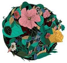 Illustration von Catalina Villegas: botanischer Kreis mit floralen Elementen