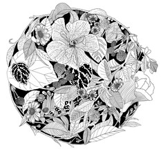 Catalina Villegas, Botanical Circle (Black and White)