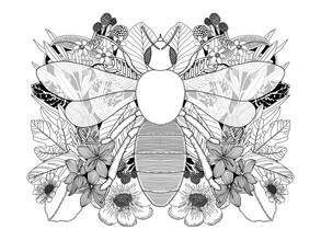 Catalina Villegas, Botanical Bee