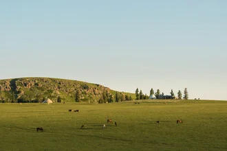 Idyllische Szene in Xinjiang, China: ruhige Graslandschaft am Morgen