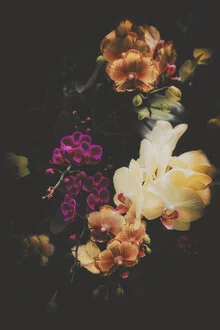 Photo of a colorful bouquet with soft, natural hues.
