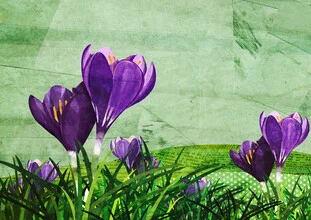 Wall art by Katherine Blower: cheerful crocuses in soft colors