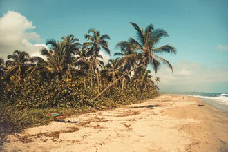 Fotokunst von Philipp Awounou: Palmen am Meer unter blauem Himmel