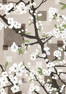 Illustration by Katherine Blower: delicate cherry blossoms on a tree branch
