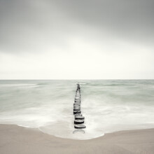 Holger Nimtz, on the coast - Germany, Europe)