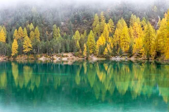 Photo art: mountain lake in autumn with fog and reflection of fir trees