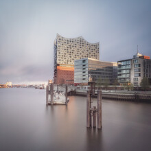 Dennis Wehrmann, Elbphilharmonie Hamburg - Germany, Europe)