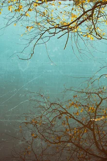Photo art by Andrea Hansen: tree reflection in calm water, autumn colors.