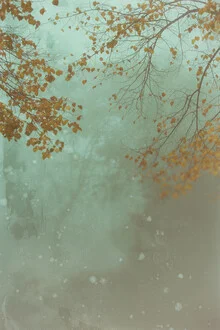 Photo art: Fog surrounds colorful leaves in an autumn forest
