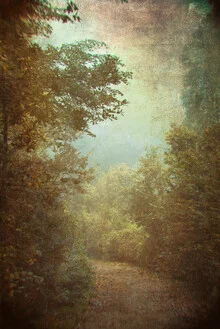 Photo art by Andrea Hansen: beautiful historic path in warm autumn colors.
