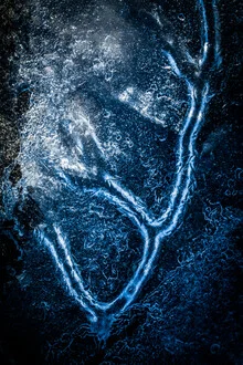 Photo art by Sebastian Worm: icy landscape with blue ice and branches