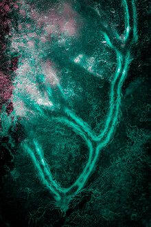 Sebastian Worm, Green ice