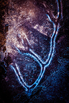 Sebastian Worm, Iced up