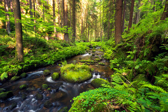Dave Derbis, A River Runs Through It (Czech Republic, Europe)