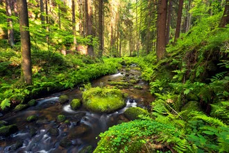 Beautiful photo art by Dave Derbis: calm river in a forest valley