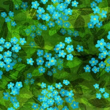 Illustration by Katherine Blower: delicate forget-me-not flowers in soft colors