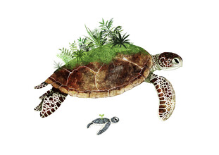 Katherine Blower, Ocean Gardener