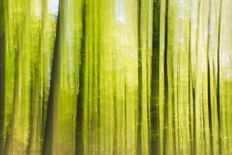 Photo art by Nadja Jacke: blurred spring scene in the forest with trees