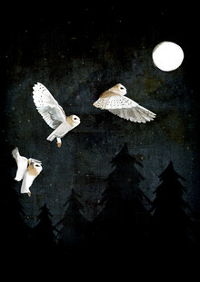 Katherine Blower, Night Ghosts