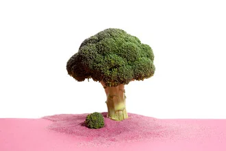 Photo art by Loulou von Glup: tree on a deserted island with sand and quirky elements