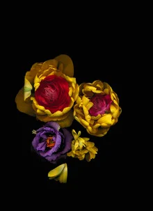Photo art featuring tulips in soft colors, embodying the essence of spring.