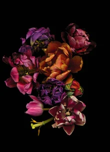 Photo art by Ramona Reimann: colorful tulips in soft spring hues