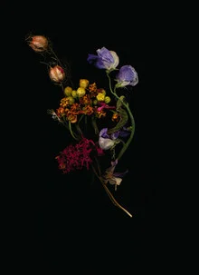 Fotografie von Ramona Reimann: zarte Blüte in dunkler Atmosphäre