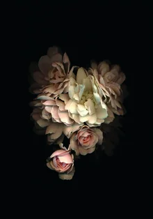 Photo art by Ramona Reimann: dark flowers with gentle colors