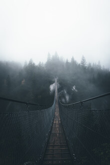 Jonas Hafner, Handeckfall bridge