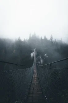 Handeckfallbrücke - fotokunst von Jonas Hafner