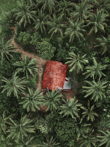 Frida Berg, A Little House in Sri Lanka (Australien, Australien und Ozeanien)