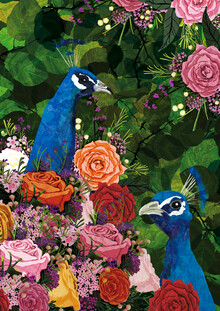 Katherine Blower, Peacocks