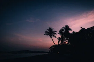 Photo art featuring palm trees: silhouette in soft light from Costa Rica