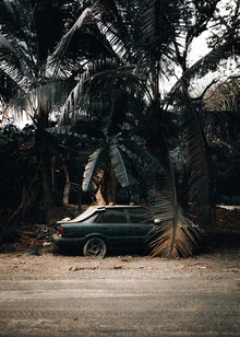 Photo art by Stefan Sträter: palm trees in the vibrant street life of Santa Teresa, Costa Rica.