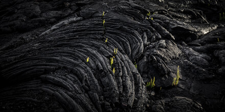 Andreas Adams, LIFE II