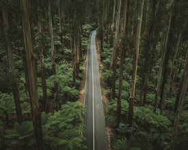 Fin Matson, Perfect Road (Australia, Oceania)