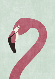 Daniel Coulmann, FAUNA Flamingo - Äthiopien, Afrika)