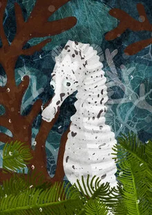 Illustration von Katherine Blower: ein Seepferdchen zwischen Pflanzen im Meer.