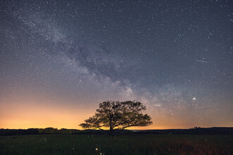 Oliver Henze, Savannah in the harzmountains with a milky way (Germany, Europe)