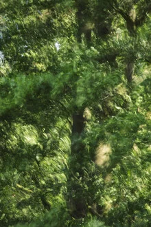 Photo art by Nadja Jacke: Beech leaves blown by the wind on a summer day