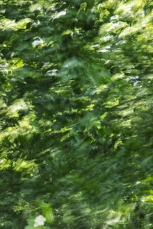 Photo art by Nadja Jacke: beech leaves blown away by the wind.