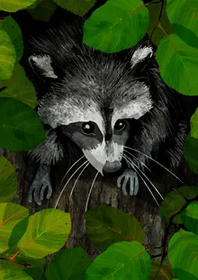 Wall art: Illustration of a raccoon beneath a tree with leaves.