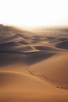 Christian Hartmann, Lost in desert - Western Sahara, Africa)
