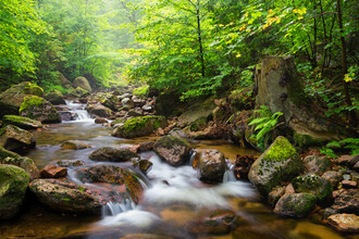 Dave Derbis, Summer Creek (Germany, Europe)