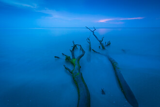 Martin Wasilewski, Darss Nightfall