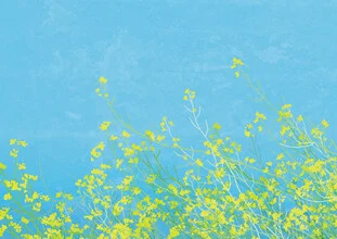 Colorful illustration of yellow flowers in a meadow, with a friendly and lively mood.